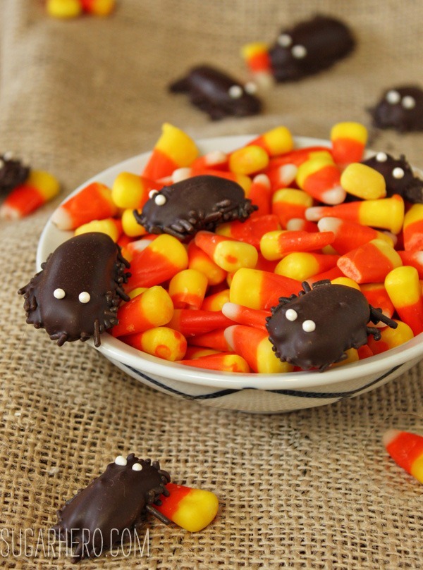 chocolate-cockroaches-recipe-8