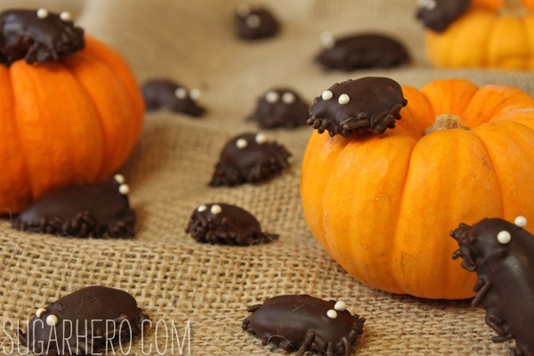 chocolate-cockroaches-recipe-9