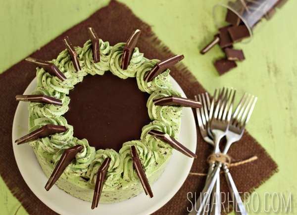 Mint Chocolate Chip Layer Cake | SugarHero.com