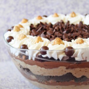 Side view of a Chocolate-Hazelnut Mousse Trifle.