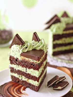 Slice of mint chocolate chip cake on a white plate with a smear of chocolate underneath