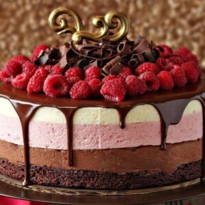 Chocolate Raspberry Mousse Cake topped with raspberries and chocolate swirls.