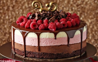 chocolate-raspberry-mousse-cake-featured