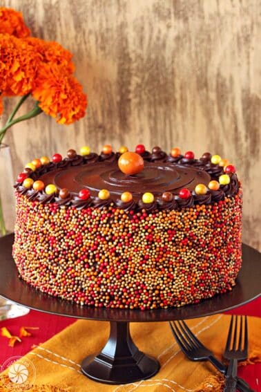 A Pumpkin Layer Cake on a black cake stand.
