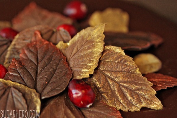 cranberry-chocolate-truffle-cake-3