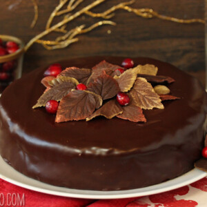 Cranberry Chocolate Truffle Cake | SugarHero.com
