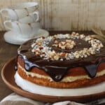 Close up of an Almond Joy Boston Cream Pie.