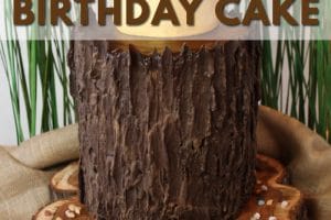 A photo of Where the Wild Things Are Birthday Cake with text overlay for Pinterest.