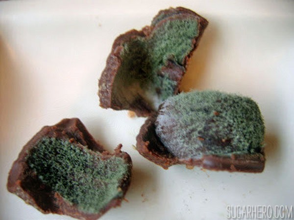 Moldy Chocolate Truffles | From SugarHero.com