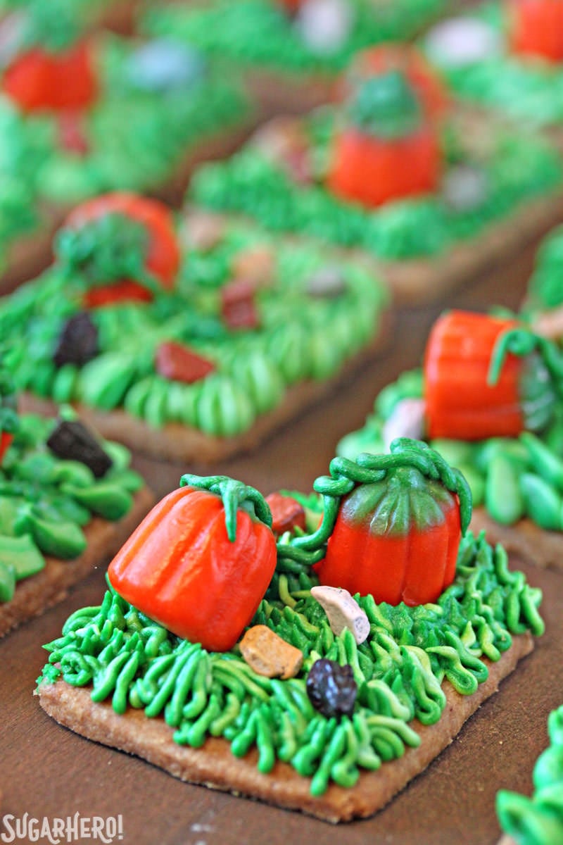 This Pumpkin Patch Shortbread is perfect for Halloween! The "pumpkin patch" is made from cookies, frosting, and candy! | From SugarHero.com Pumpkin Patch Shortbread | From SugarHero.com