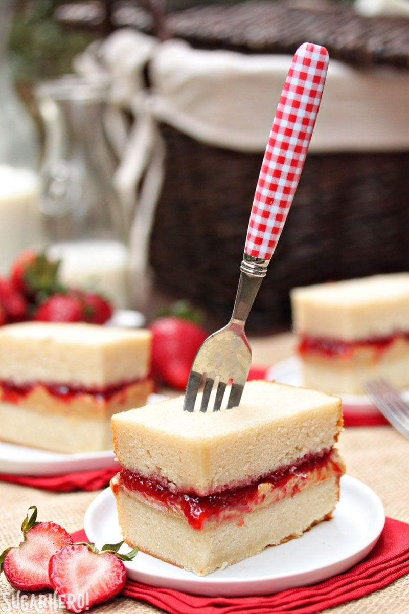 Peanut Butter and Jelly Sandwich Cake | From SugarHero.com