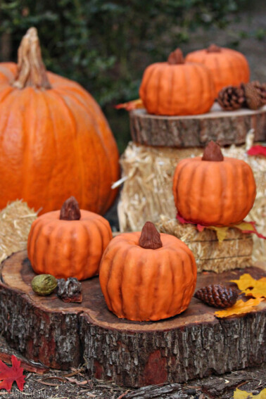 Mini Pumpkin Bundt Cakes arranged on different layers of wood and hay next to a large pumpkin.