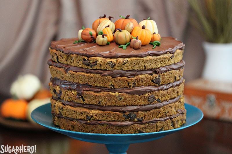 Pumpkin Chocolate Chip Cake | From SugarHero.com