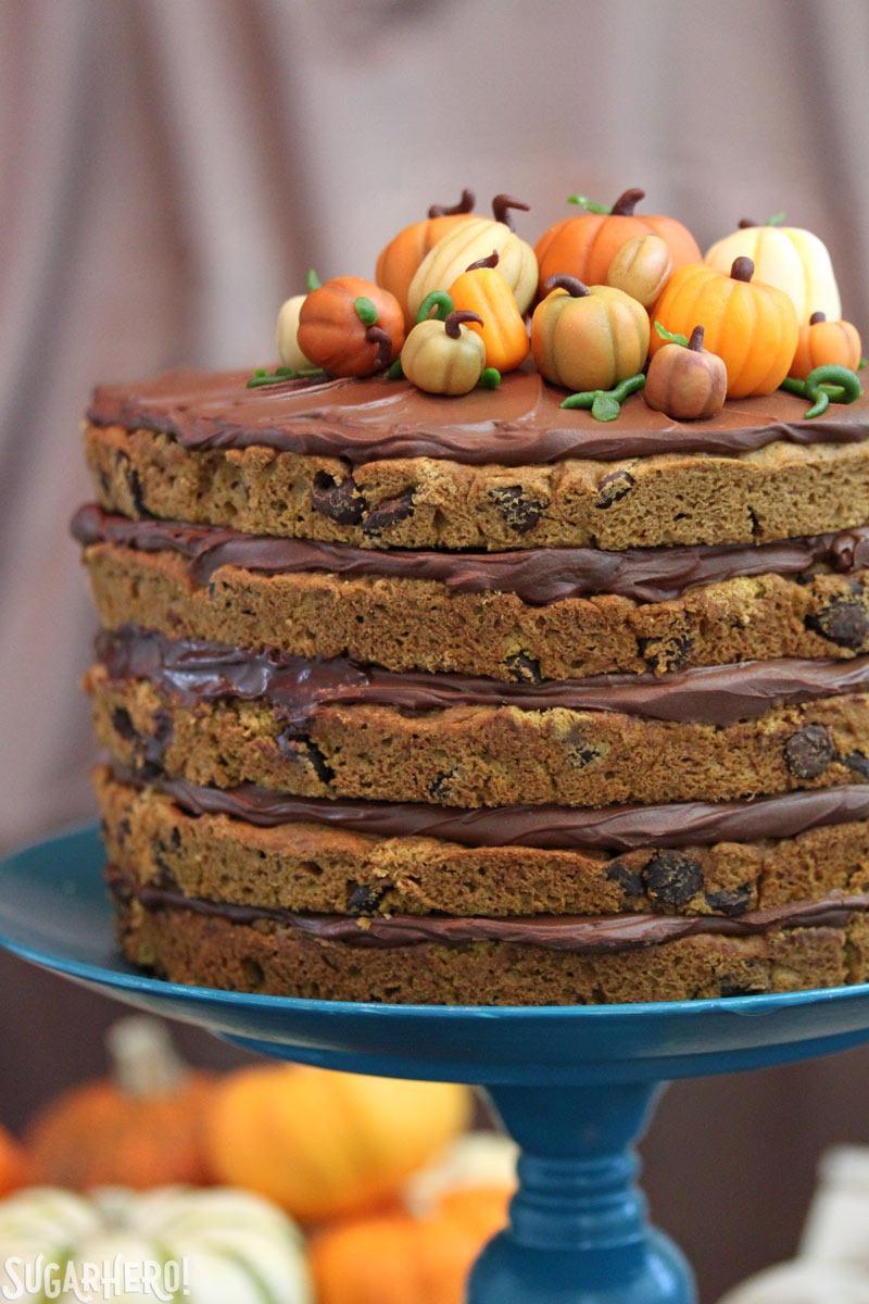 Pumpkin Chocolate Chip Cake | From SugarHero.com