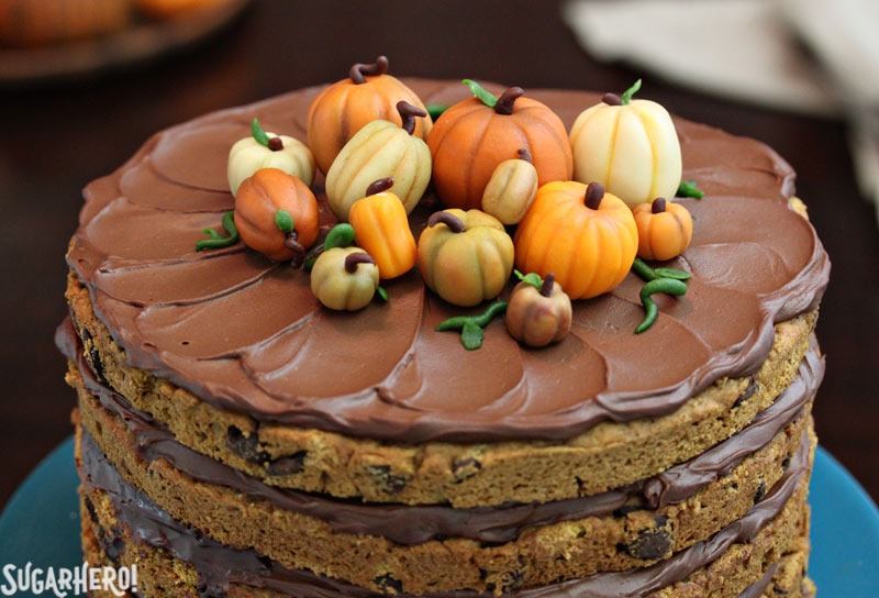 Pumpkin Chocolate Chip Cake | From SugarHero.com