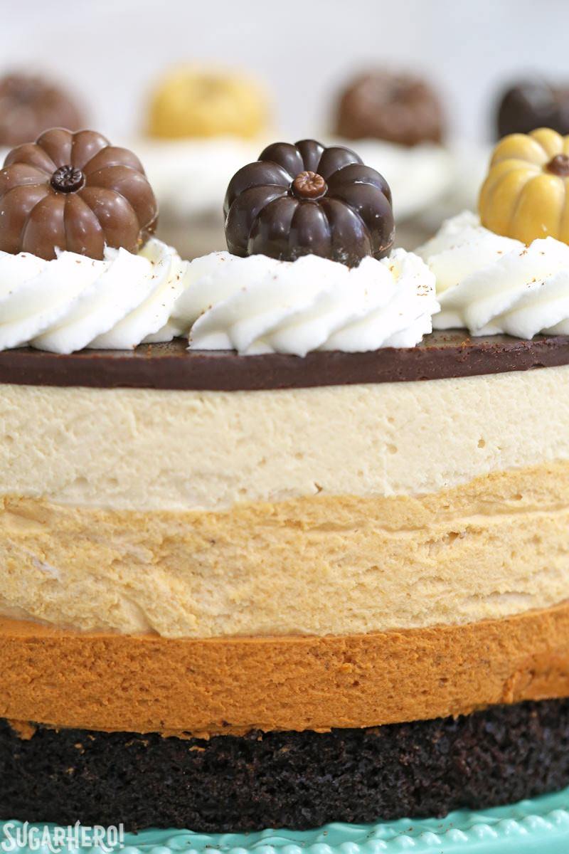 Pumpkin Chocolate Mousse Cake - A stunning 4-layer dessert with chocolate cake, cinnamon mousse, pumpkin-butterscotch mousse, and salted caramel mousse! Finished with a layer of shiny chocolate ganache and whipped cream, it’s a total show stopper! | From SugarHero.com Pumpkin Chocolate Mousse Cake - A close up of the pumpkin toppers, and showing each layer of mousse. | From SugarHero.com
