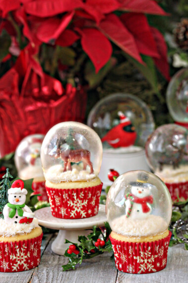 6 snow globe cupcakes with a poinsettia in the background.