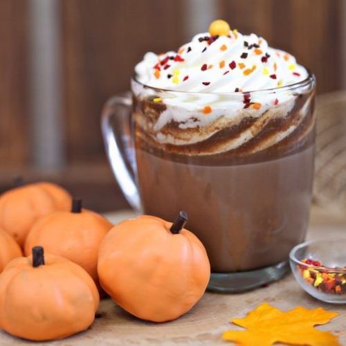 Pumpkin Spice Hot Chocolate | From SugarHero.com