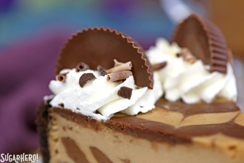 Chocolate Peanut Butter Cheesecake - this is the ULTIMATE cheesecake! Smooth and creamy, with gorgeous chocolate swirls and lots of peanut butter cups! | From SugarHero.com Close-up of decorations on Chocolate Peanut Butter Cheesecake | From SugarHero.com