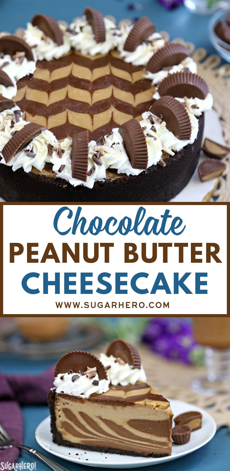 Chocolate Peanut Butter Cheesecake SugarHero