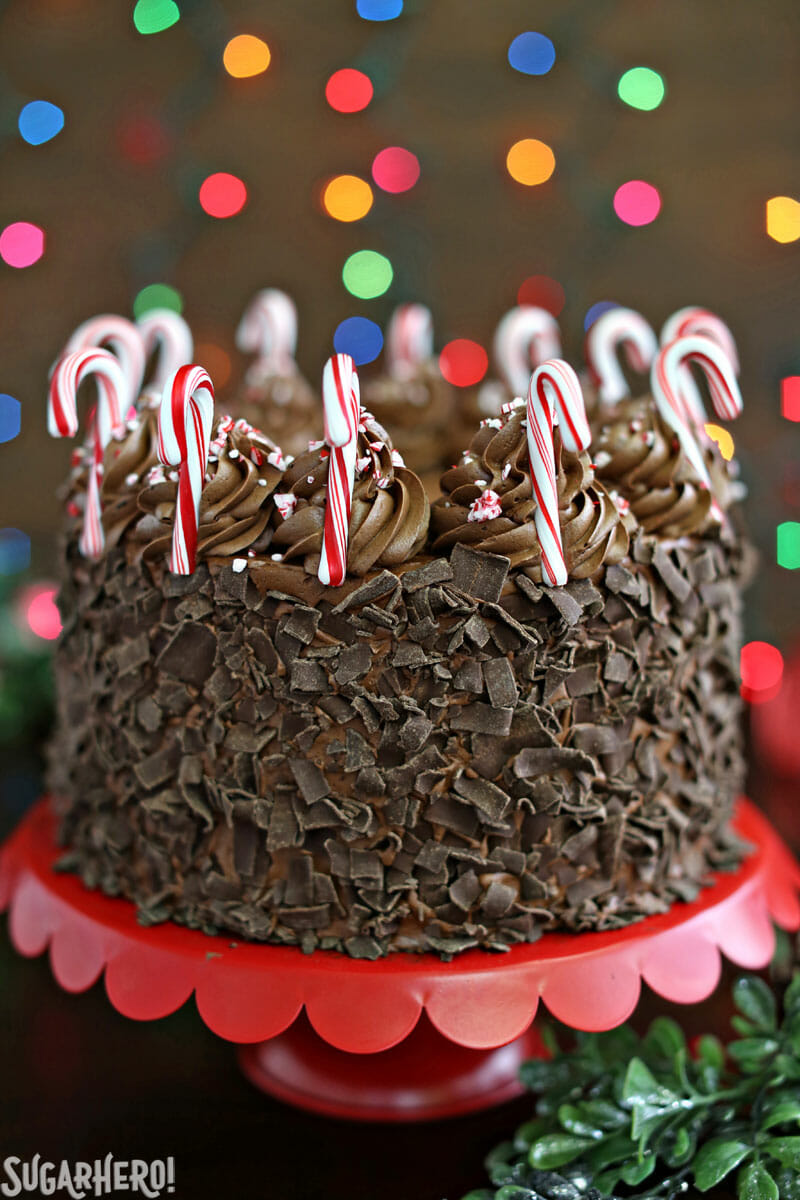 Chocolate Candy Cane Cake – chocolate cake, covered with chocolate curls and decorated with miniature candy canes around the top | From SugarHero.com