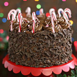 Chocolate Candy Cane Cake | From SugarHero.com