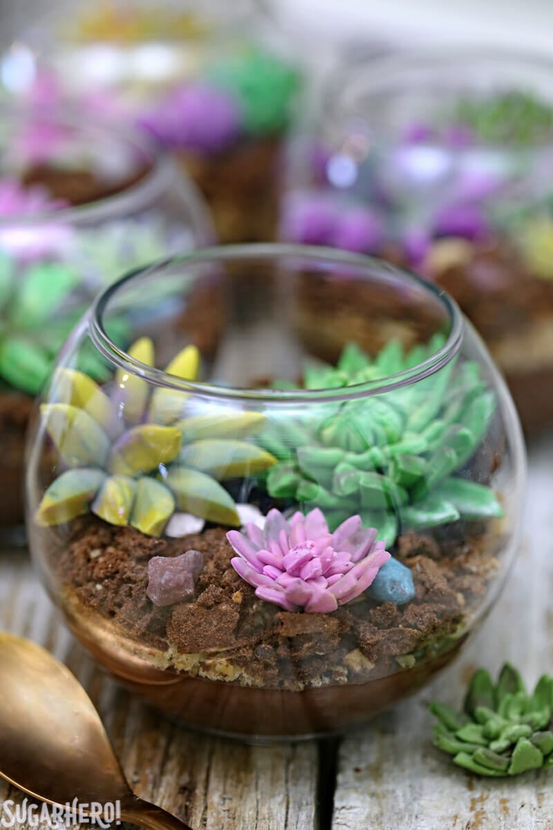 Edible Terrariums - so cute and totally edible! Made with chocolate pudding, cookie crumbs, and fondant succulents. | From SugarHero.com Edible Terrariums - close-up of edible terrarium with fondant succulents on top | From SugarHero.com