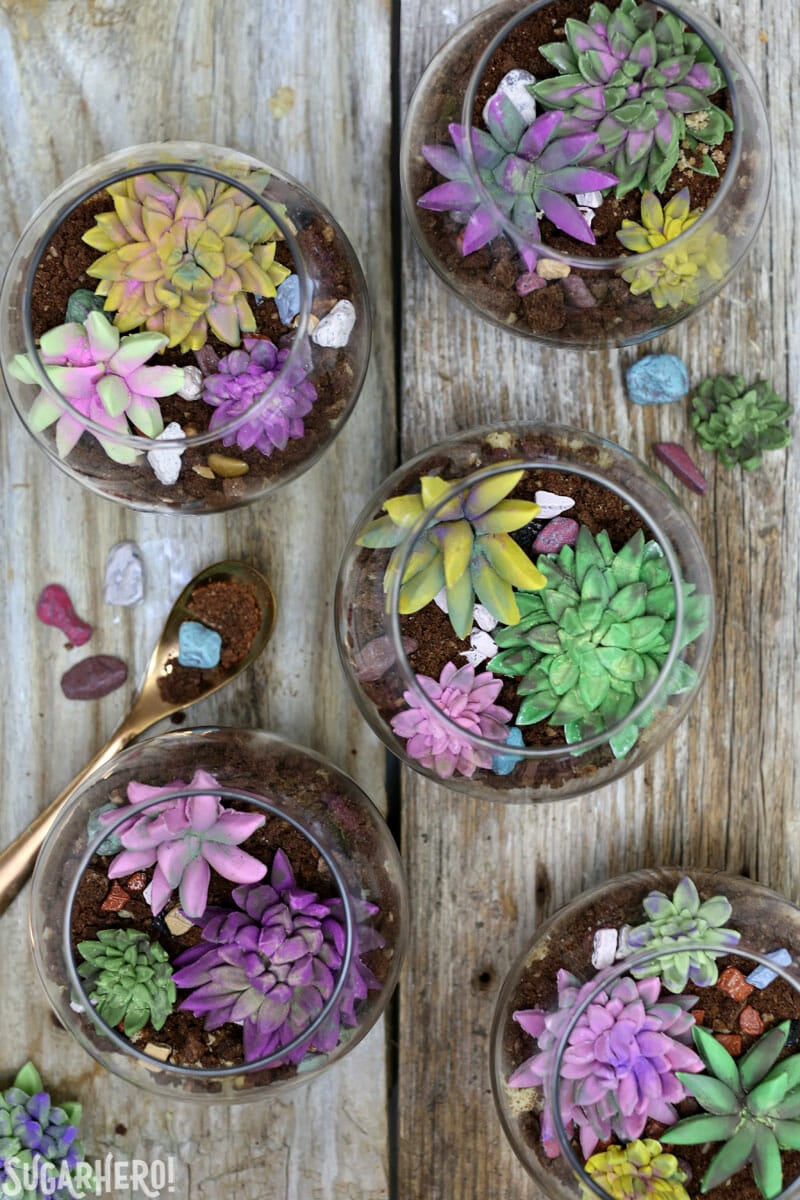 Edible Terrariums - so cute and totally edible! Made with chocolate pudding, cookie crumbs, and fondant succulents. | From SugarHero.com Edible Terrariums - group of edible terrariums and fondant succulents shot from overhead | From SugarHero.com