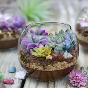 Edible Terrariums with Chocolate Pudding | From SugarHero.com