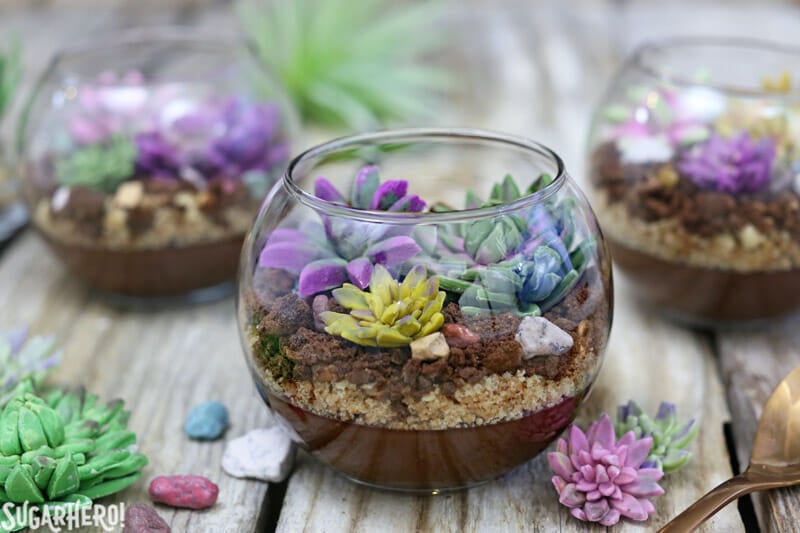 Edible Terrariums with Chocolate Pudding and Fondant Succulents | From SugarHero.com