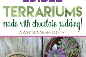 Edible Terrariums with Chocolate Pudding | From SugarHero.com