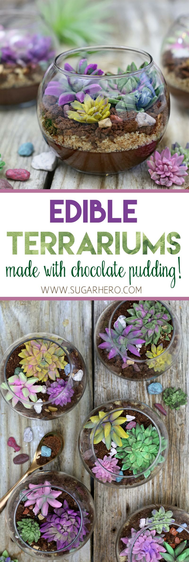 Edible Terrariums SugarHero