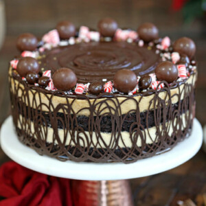 Peppermint Mocha Mousse Cake | From SugarHero.com