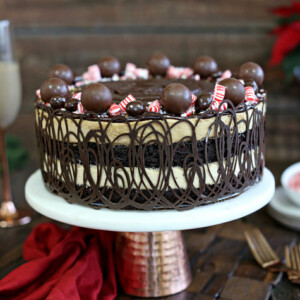 Peppermint Mocha Mousse Cake on a white cake plate.