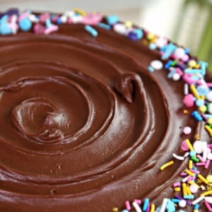 Close up of the top of a cake frosted with Chocolate Sour Cream Frosting and covered with bright sprinkles.