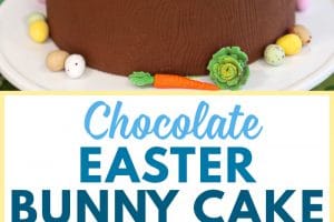 2 photo collage of Chocolate Easter Bunny Cake with text overlay for pinterest.