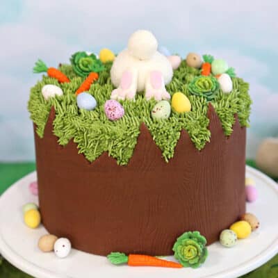 Chocolate Easter Bunny Cake | From SugarHero.com