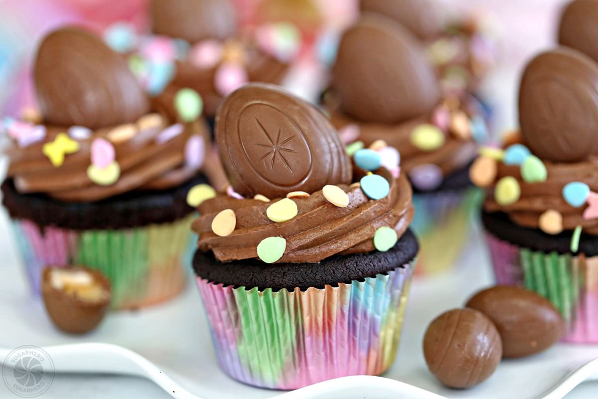 Group of chocolate cupcakes with chocolate frosting on a white platter