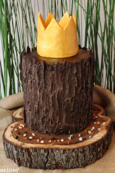 Close up of the Where the Wild Things Are Birthday Cake.