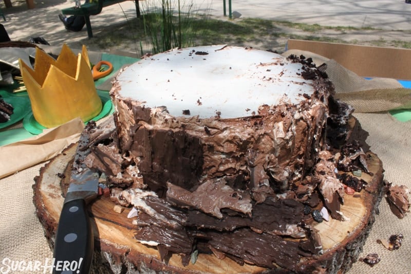 Where the Wild Things Are Birthday Cake - A photo of the cake after having pieces taken out. | From SugarHero.com 