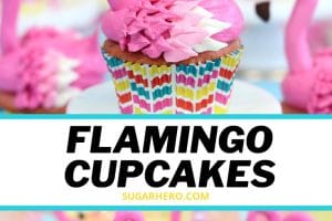 Flamingo Cupcake picture with text label for Pinterest