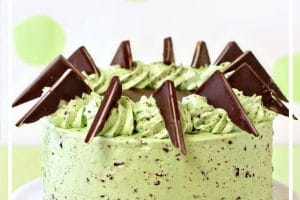 Mint Chocolate Chip Cake photo with text overlay for Pinterest