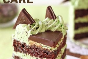 Mint Chocolate Chip Layer Cake picture with text overlay for Pinterest