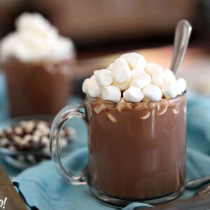 Slow Cooker Hot Chocolate in a glass mug with mini marshmallows on top