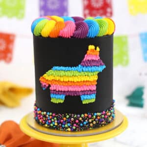 Black cake decorated with neon rope border and donkey pinata design
