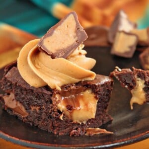 Close-up of peanut butter brownie with a bite taken out of it