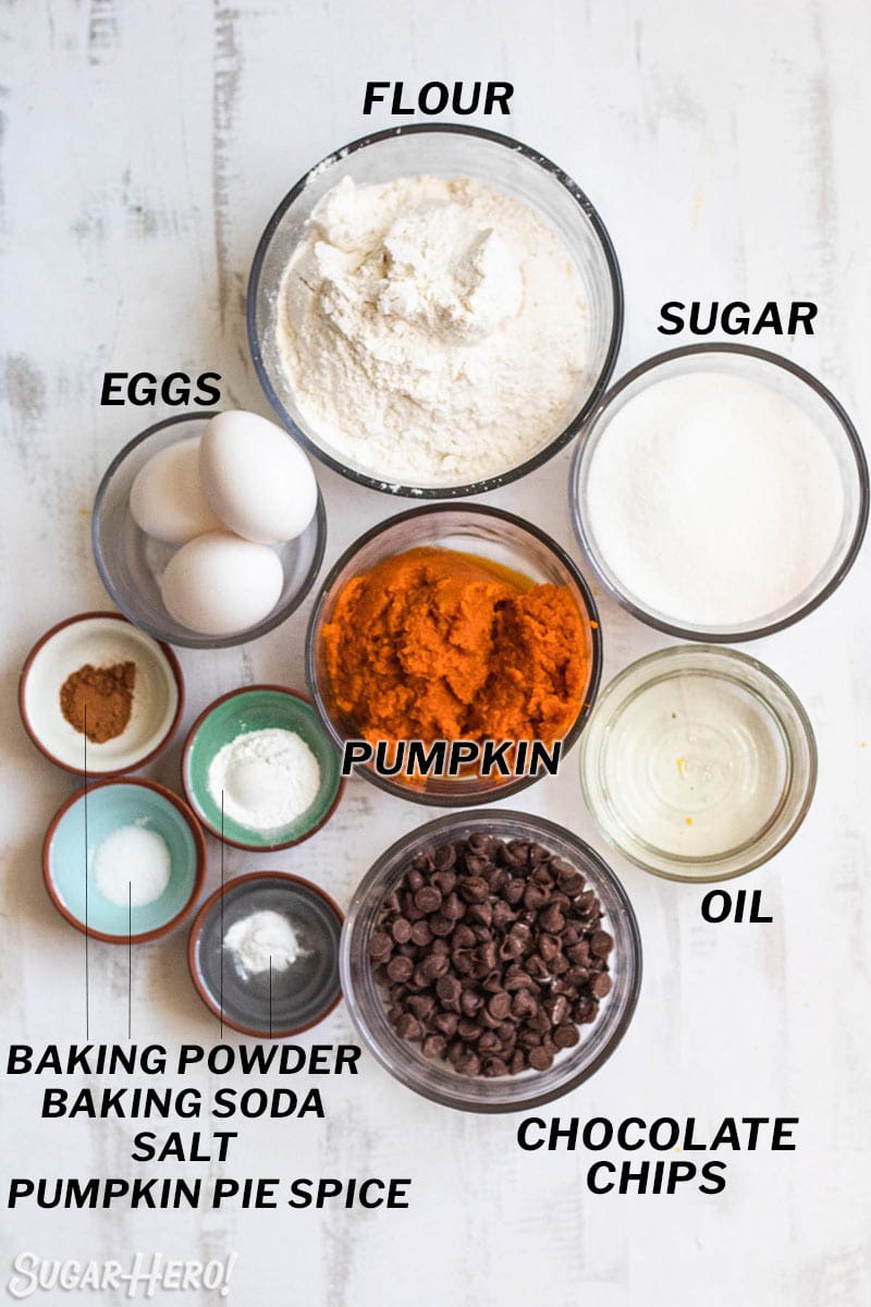 Overhead shot of all ingredients needed to make Pumpkin Chocolate Chip Bread.