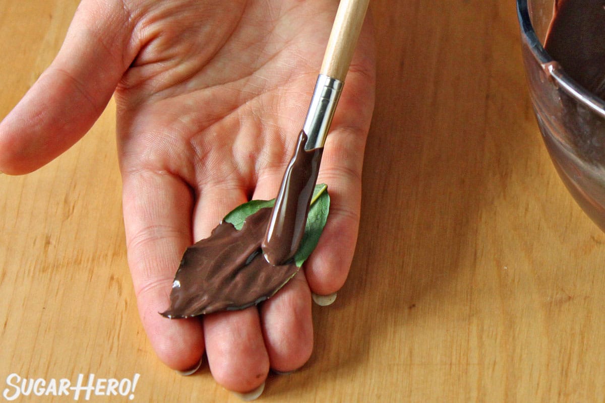 Brushing the back of a leaf with melted chocolate.