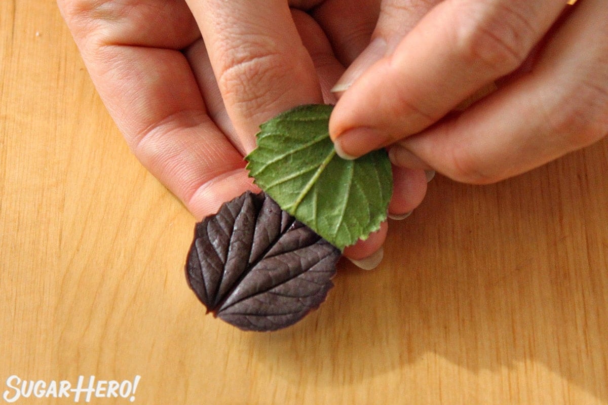 Peeling a green leaf off of a molded chocolate leaf.