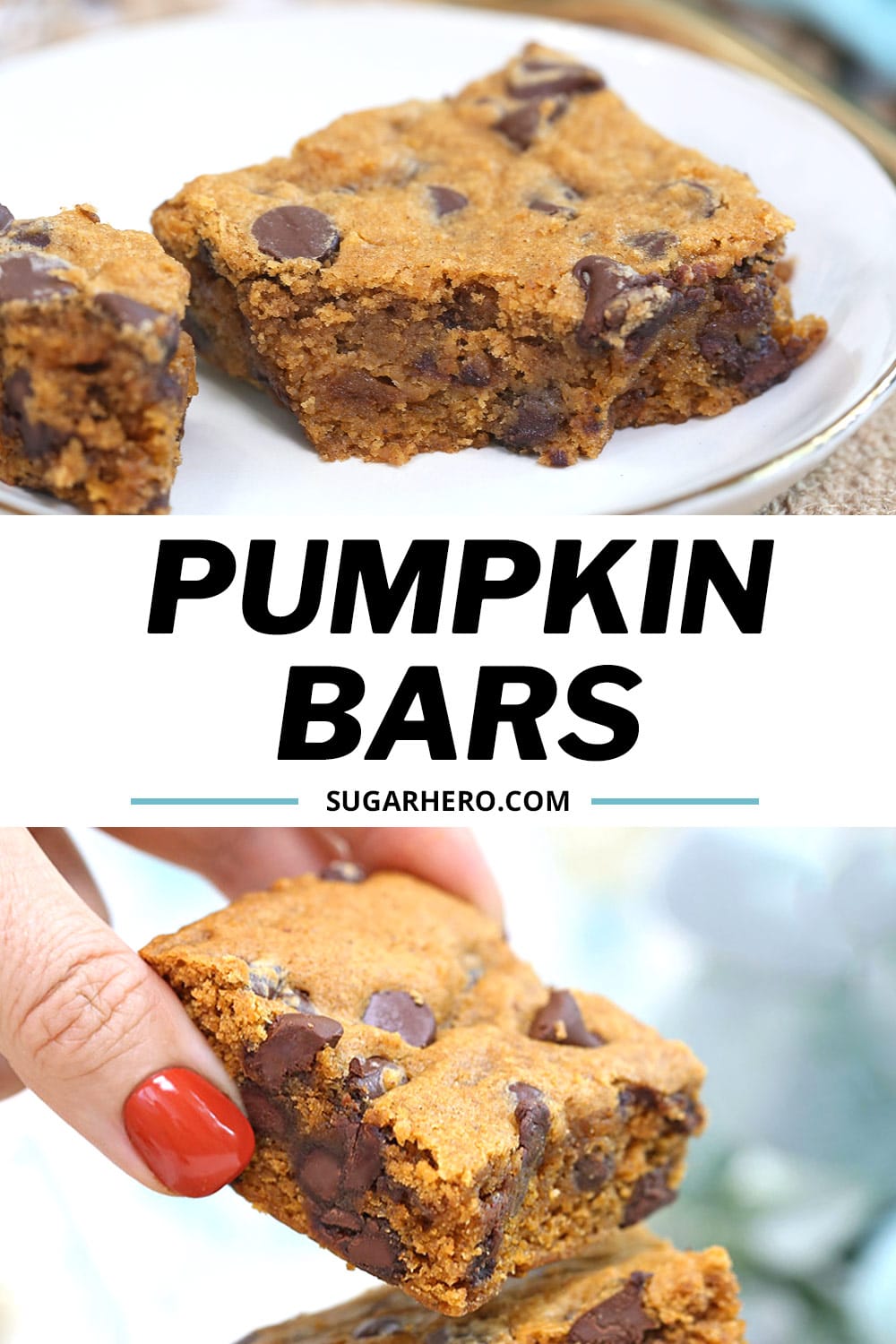 Pumpkin Chocolate Chip Bars SugarHero